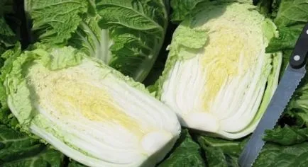 Cultivarea broccoli, grădină cresc!