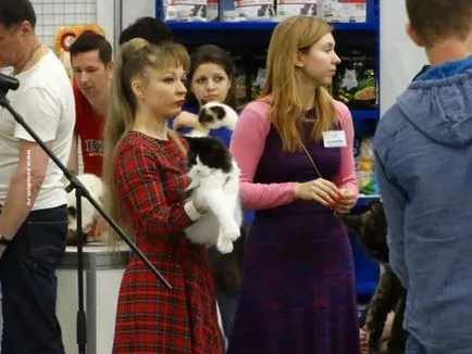 Cat spectacol la Moscova în 2017. programul și datele