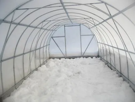 Cultivarea castraveți în pregătirea solului de iarnă, tehnologie, soiuri, de plantare și îngrijire (tehnologie) Cultivarea castraveți în pregătirea solului de iarnă, tehnologie, soiuri, de plantare și îngrijire