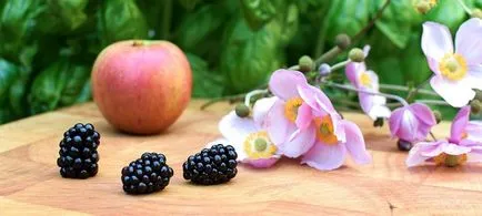 Ce alimente contin carbohidrati lista de produse și un tabel (produse) Ce alimente contin carbohidrati lista de produse și tabele