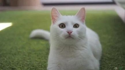 Cat Educație - o activitate importantă și responsabilă!