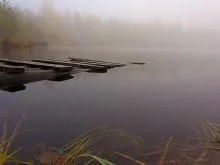 Bialowieza National Park Forest