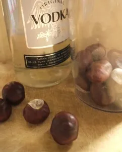 Chestnut reteta tinctura vodca si aplicarea