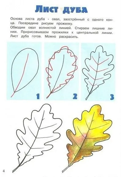 Numele copacilor și frunzele lor