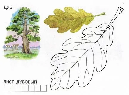 Numele copacilor și frunzele lor