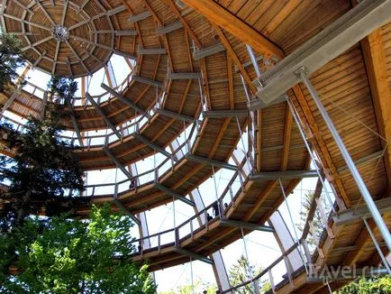 călătorie Parcul Național Pădurea Bavareză prin vârfurile copacilor (bavarez) călătorie Parcul Național Pădurea Bavareză prin vârfurile copacilor