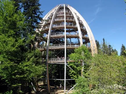călătorie Parcul Național Pădurea Bavareză prin vîrfurile copacilor (blaturi) călătorie Parcul Național Pădurea Bavareză prin vârfurile copacilor