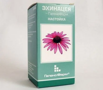 indicii Echinacea Tinctura, contraindicații și condițiile de păstrare (Echinacea tinctură) indicii Echinacea Tinctura, contraindicații și condiții de depozitare