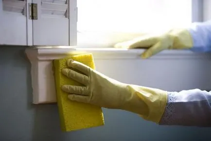 Întreținerea și repararea locuințelor, care include o listă de lucrări