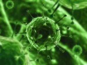 Cronică metroendometritis ce este nespecific și endometrita non-active