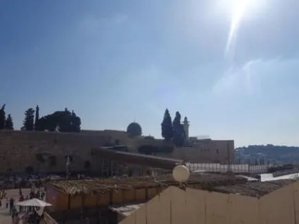 Humus - ce este
