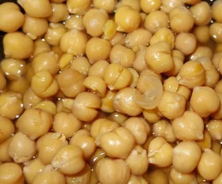 Humus - ce este