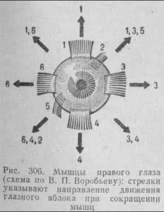 Sf. Gheorghe și