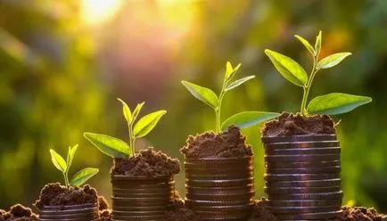 Conspirație la profit cum să atragă