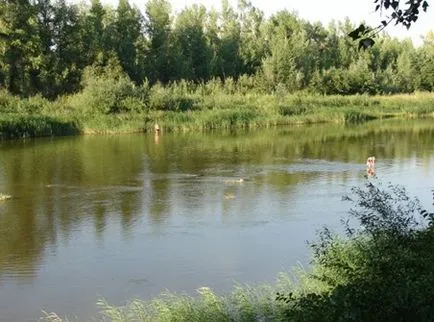 Ghicitori în limba engleză cu traducere și cu răspunsurile (ghicitori în limba engleză cu traducere) Ghicitori în limba engleză cu traducere și cu răspunsuri