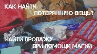 Plot cu privire la modul de a găsi animalele de companie pierdute