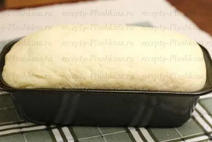 pâine Custard în cuptor - o rețetă simplă pentru pâine albă (grâu) pâine Custard în cuptor - o rețetă simplă pentru pâine albă