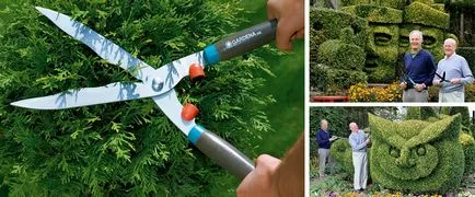 Hedge - din care este mai bine pentru a face o analiză a opțiunilor, scheme, instrucțiuni (live) Hedge - din care este mai bine pentru a face o analiză a opțiunilor, scheme, instrucțiuni