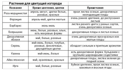 Hedge - din care este mai bine pentru a face o analiză a opțiunilor, scheme, instrucțiuni (ce) Hedge - din care este mai bine pentru a face o analiză a opțiunilor, scheme, instrucțiuni