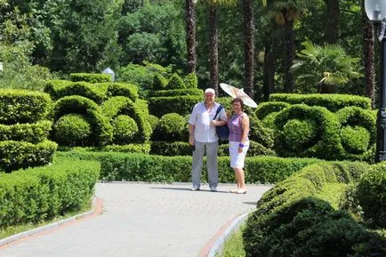 Hedge - din care este mai bine pentru a face o analiză a opțiunilor, scheme, instrucțiuni (opțiuni) Hedge - din care este mai bine pentru a face o analiză a opțiunilor, scheme, instrucțiuni