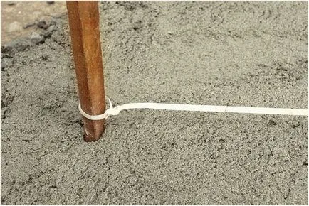 Hedges în țară cu propriile lor mâini ce plante - revizuire, instrucțiuni pas cu pas! (Hands) Hedges în țară cu propriile lor mâini ce plante - revizuire, instrucțiuni pas cu pas!