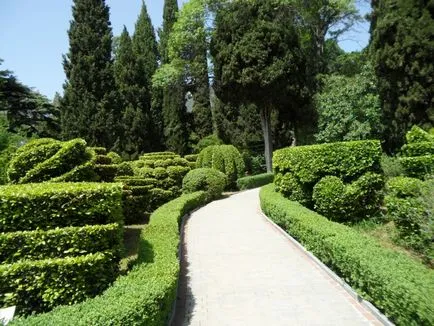 Hedges în țară cu propriile lor mâini ce plante - revizuire, instrucțiuni pas cu pas! (Hedge) Hedges în țară cu propriile lor mâini ce plante - revizuire, instrucțiuni pas cu pas!