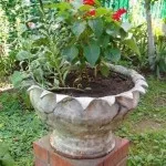 Mână cu propriile sale mâini pentru casa Mână cu propriile sale mâini pentru casa