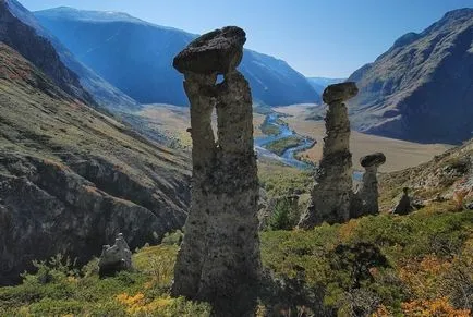 Cum de a merge la Altai