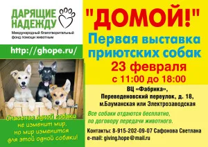 Adresele de adăposturi pentru câini Adresele de adăposturi pentru câini