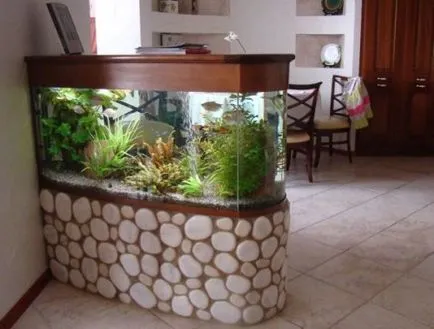Start Aquarium Start Aquarium