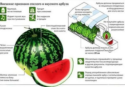 Pepenele verde mănâncă