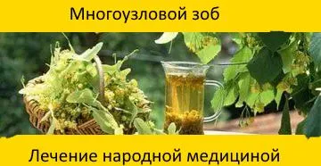 Tratamentul de remedii populare pentru gusa