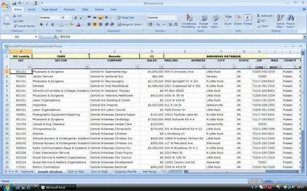 Ce este o bază de date în Excel