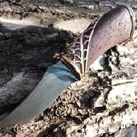Un cuțit cu mâinile lor în casa (cuțitul cu mâinile) Un cuțit cu mâinile lor la domiciliu