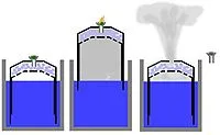 Bulbulyator ce este
