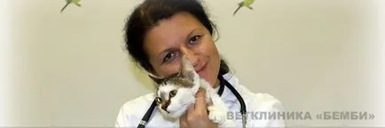 clinica veterinara pentru caini