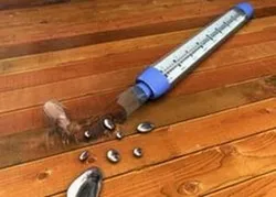 Mercur este dăunător decât Mercur este dăunător decât