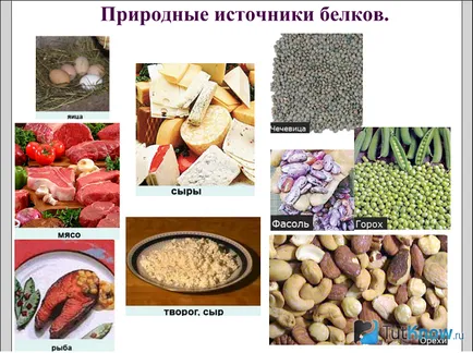 Cum sa mananci proteine si carbohidrati Cum sa mananci proteine si carbohidrati