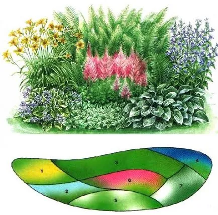 paturi de flori în umbră