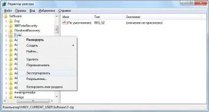 Cum se elimină datele din registru Cum se elimină datele din registru