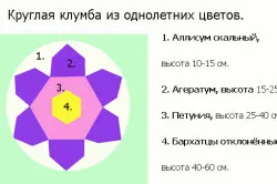 ghiveci de flori ghiveci de flori