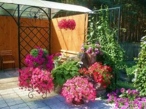ghiveci de flori ghiveci de flori
