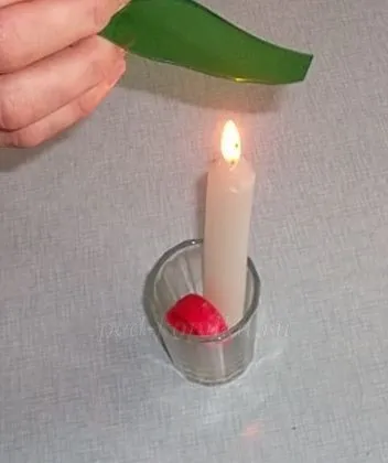Ca de sticle de plastic pentru a face flori