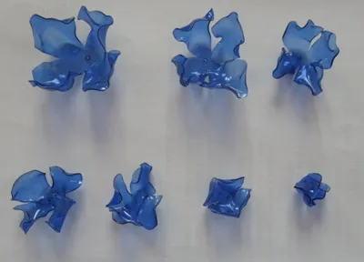 Ca de sticle de plastic pentru a face flori
