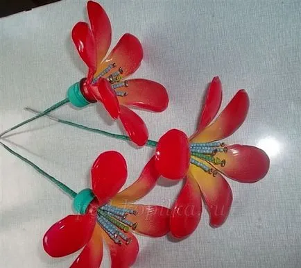 Ca de sticle de plastic pentru a face flori