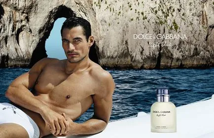 Ce este Dolce Gabbana