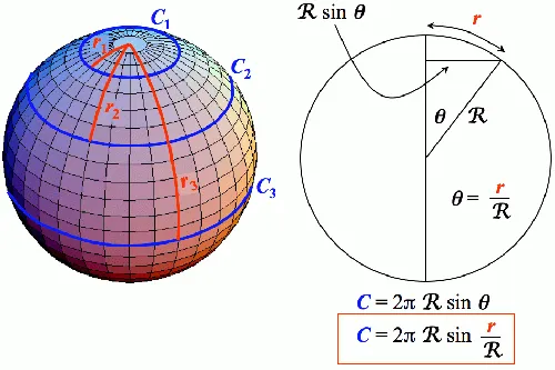 Cum de a calcula lungimea circumferențiară
