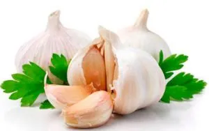 Cum sa mananci proteine ​​si carbohidrati
