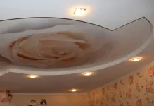 Ce este un plafon francez