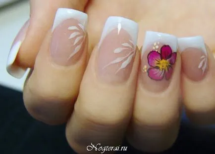 Design Forma unghiilor Design Forma unghiilor